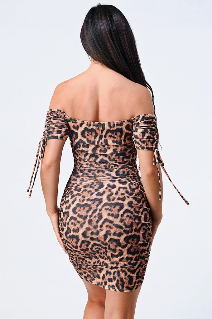 Nikki Glaser Leopard Dress